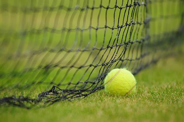 Pourquoi opter pour une construction court de tennis en gazon synthétique à Paris ?